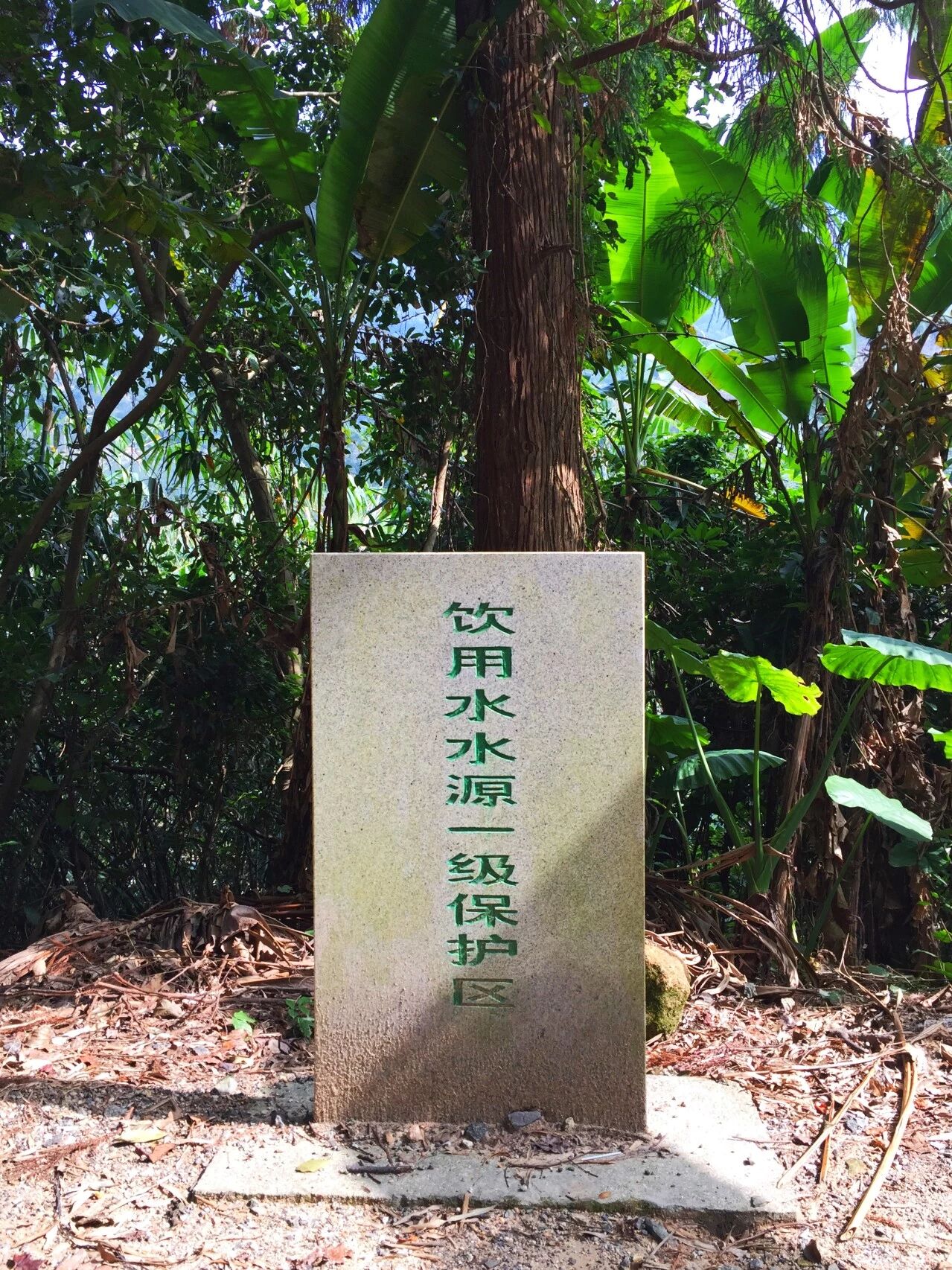 No. 5 冒险代号:百变的水 | 冒险城市 2018 行动 配图4