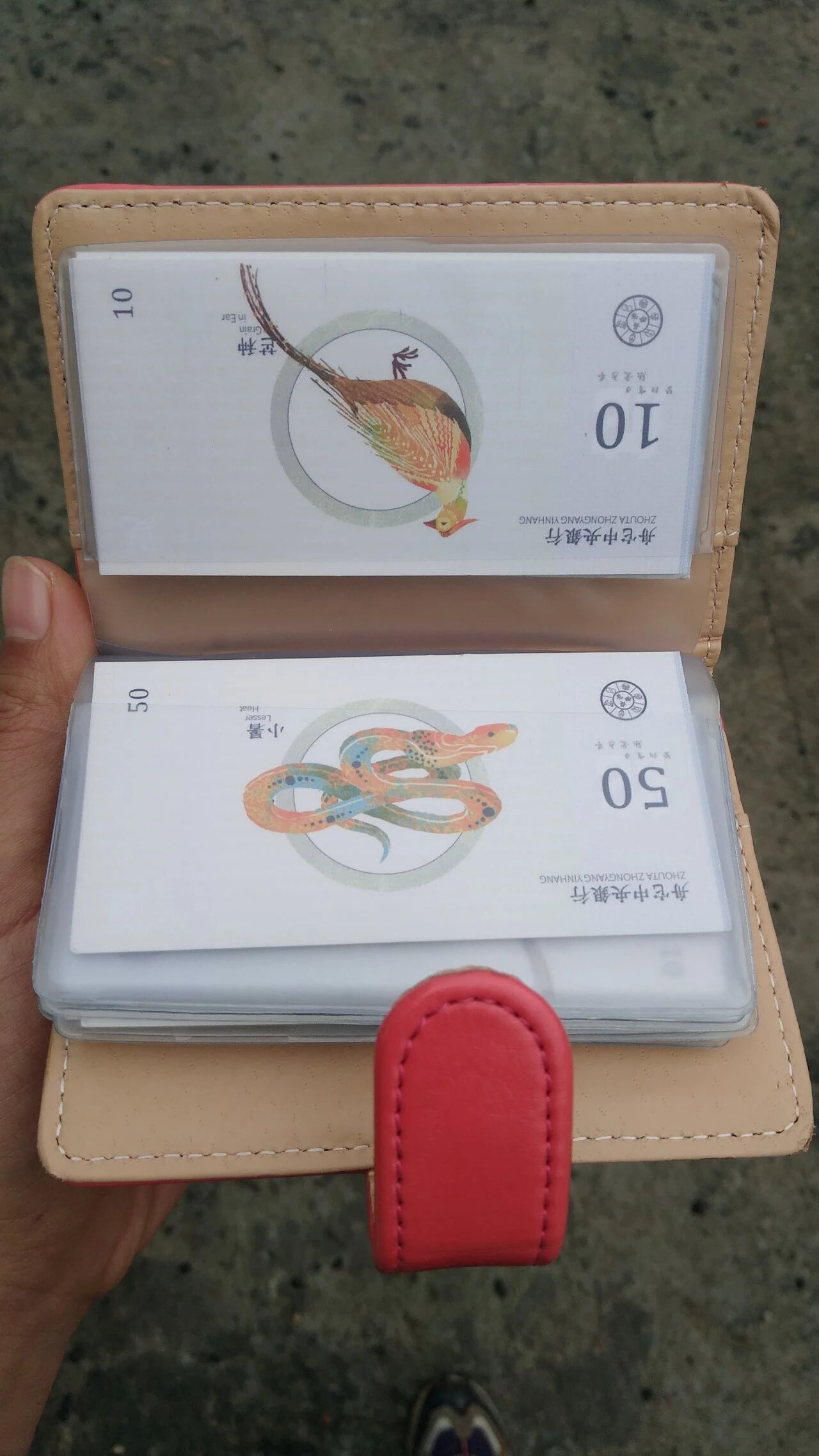 舵币的故事 配图10