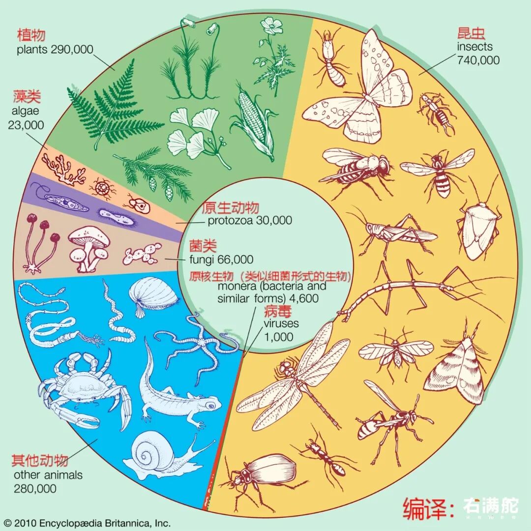 疫情启示录(一)| 人类在生物界中的位置 配图6