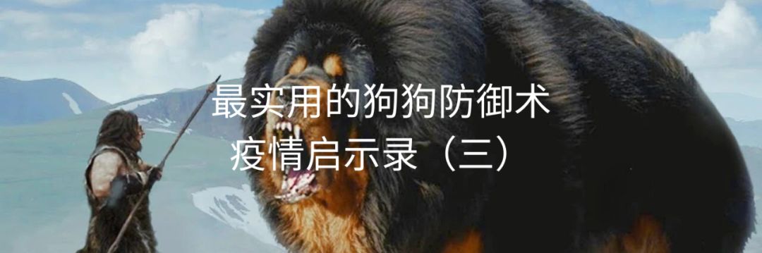 疫情启示录(四)| 什么是免疫力 配图8