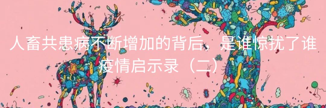 疫情启示录(四)| 什么是免疫力 配图9