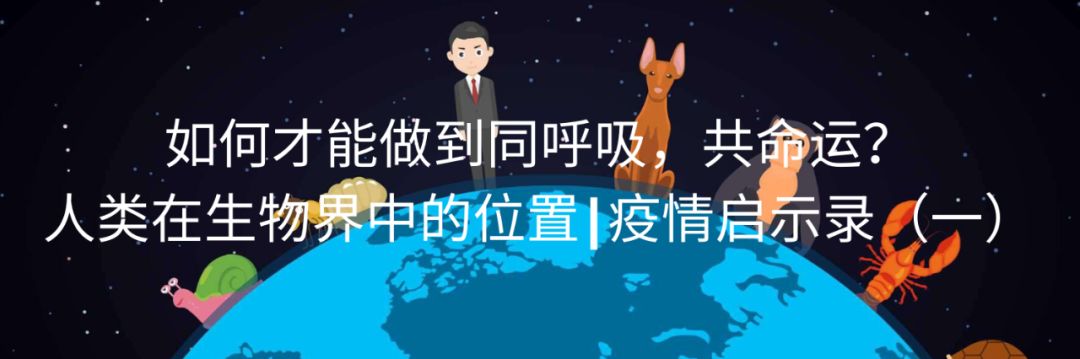 疫情启示录(四)| 什么是免疫力 配图10