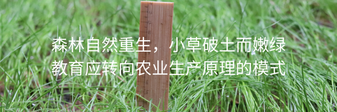 都市农业 | 生菜苗死亡的思考 配图14