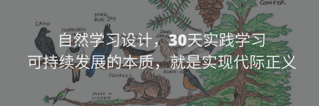 四木长老和荒地的故事 配图8