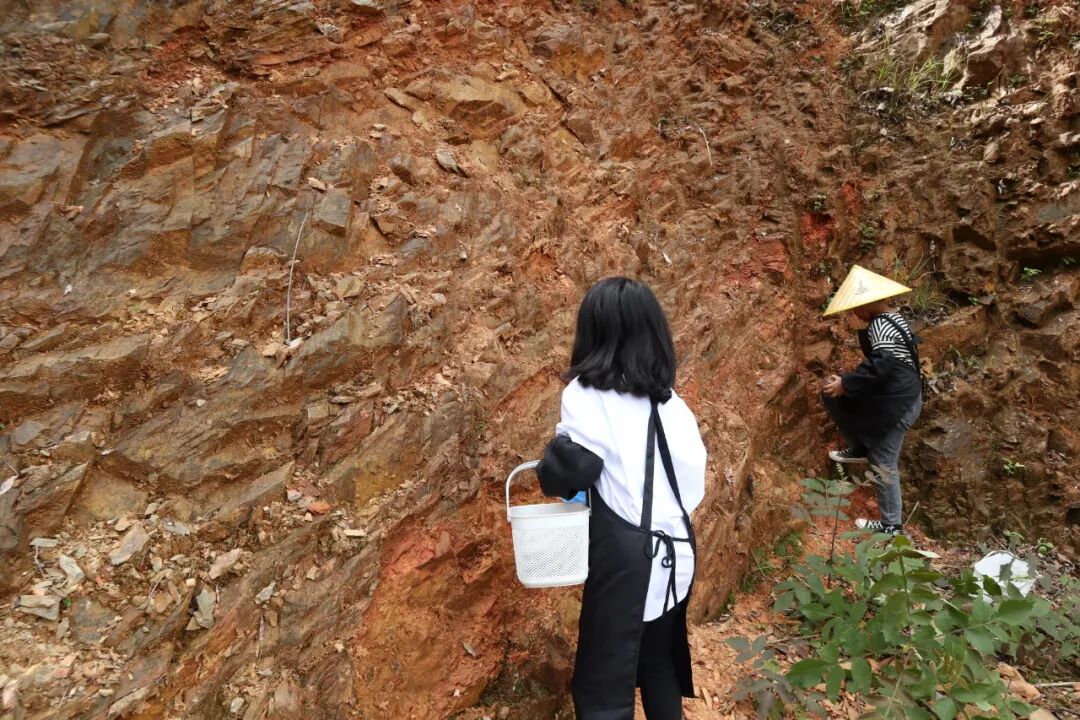 石头的超级演化 | 右满舵X福建省岩绘艺术中心开启丁屋岭岩绘研学营 配图18
