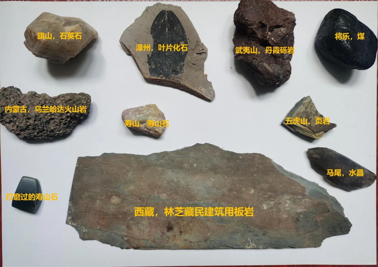 课程回放 | 这个关于地球往事的班级总是一票难求 配图16