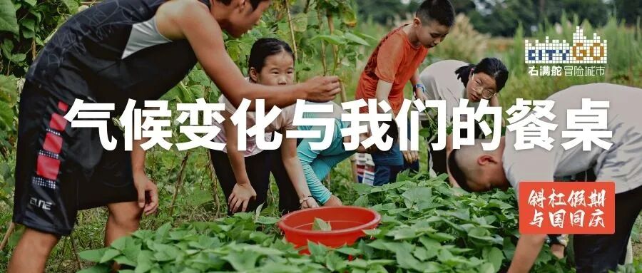 右满舵国庆斜杆专场 | 我们用拿手课程拼乐高,满足什么都想要的你 配图19