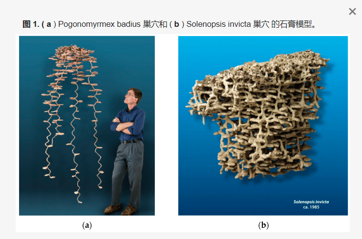 世界有一百扇窗,孩子有一百种语言 | 右满舵2024年秋季徒步成长课发布 配图82
