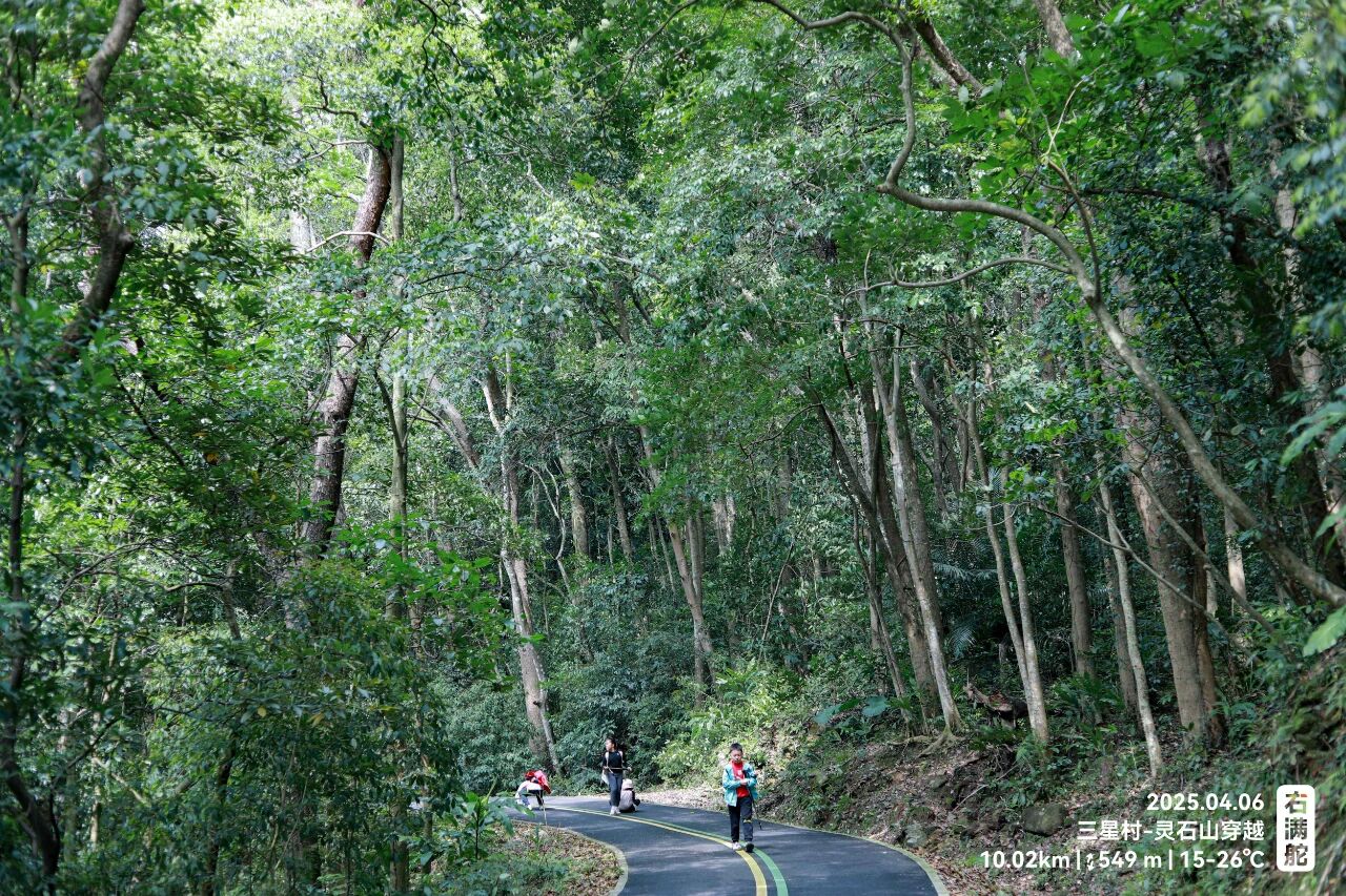 右满舵百线共享 | NO.78:三星村—灵石山森林公园穿越 配图5