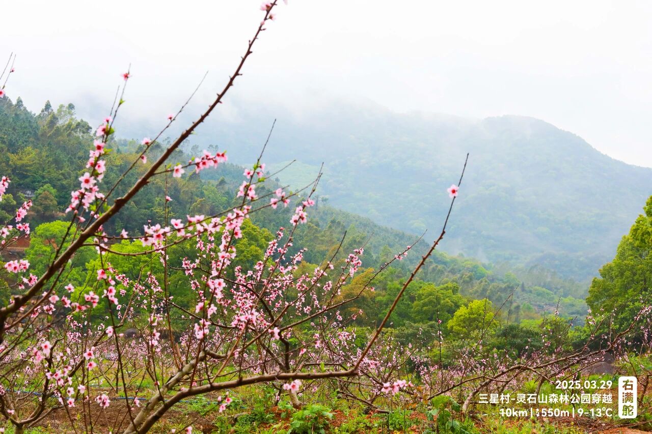 右满舵百线共享 | NO.78:三星村—灵石山森林公园穿越 配图12