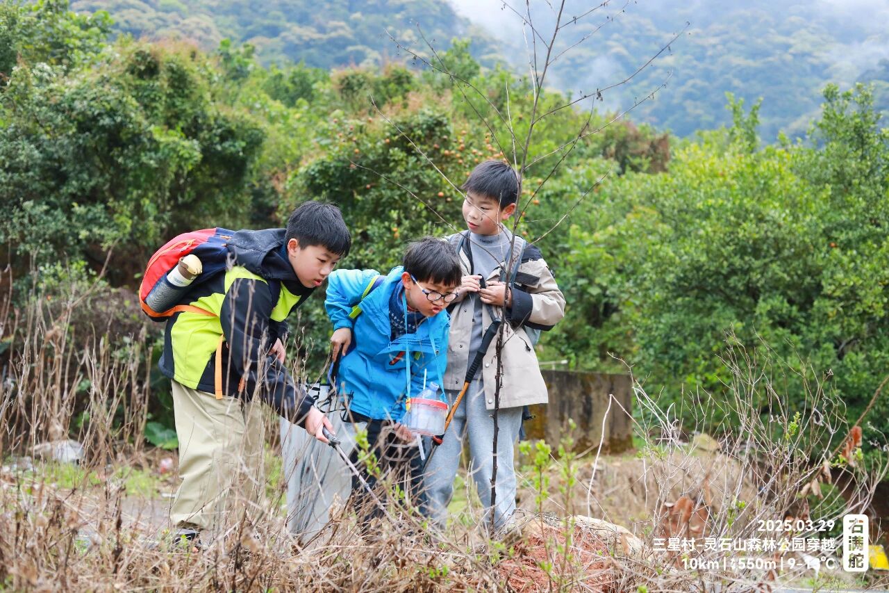 右满舵百线共享 | NO.78:三星村—灵石山森林公园穿越 配图26