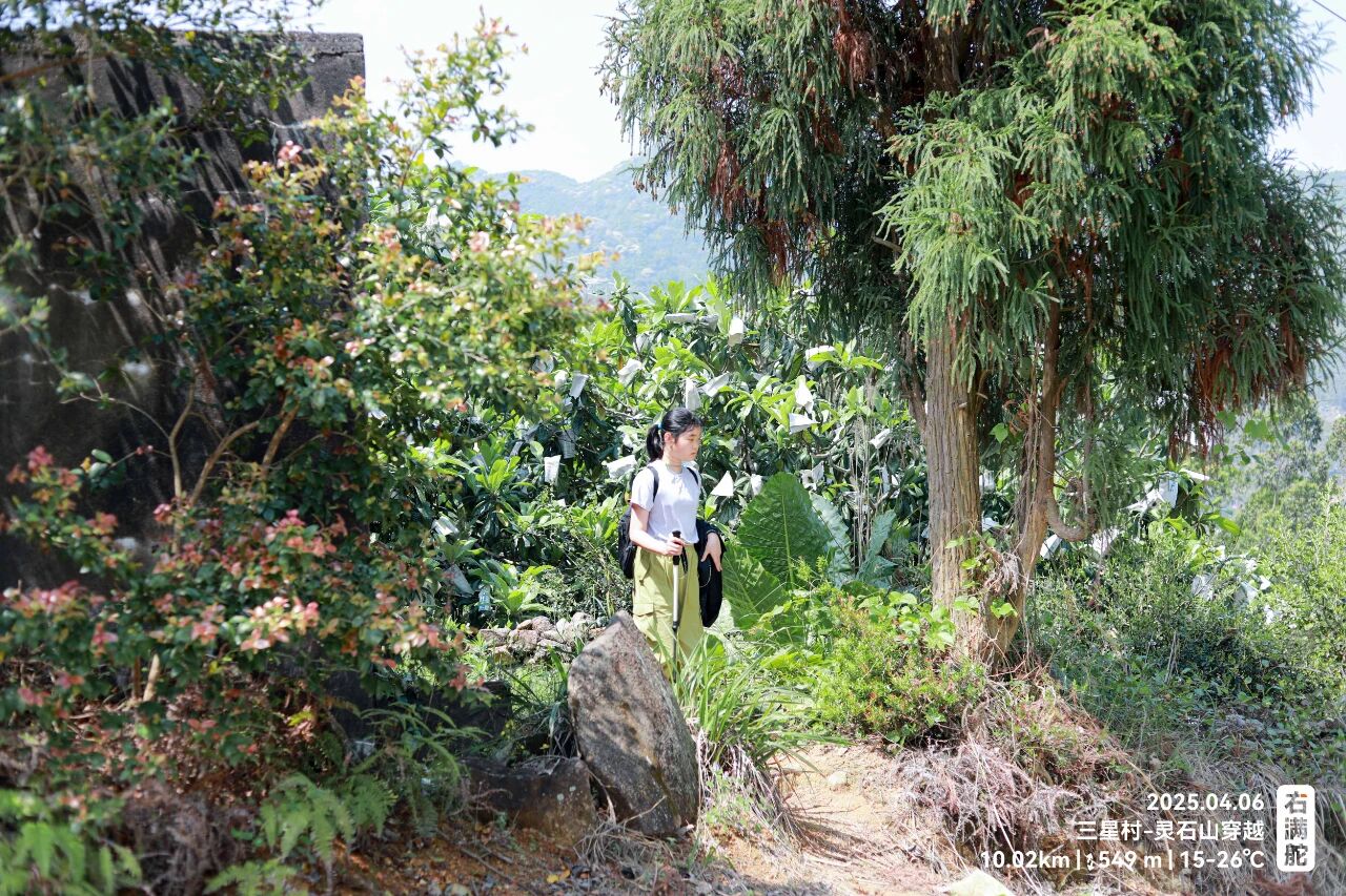 右满舵百线共享 | NO.78:三星村—灵石山森林公园穿越 配图39