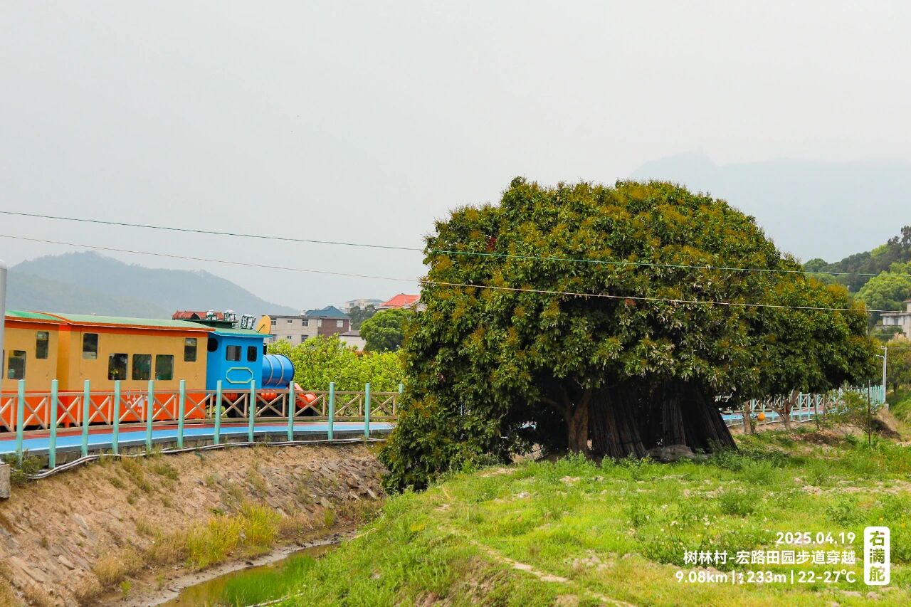 右满舵百线共享 | NO.79:树林村-宏路田园步道穿越 配图5