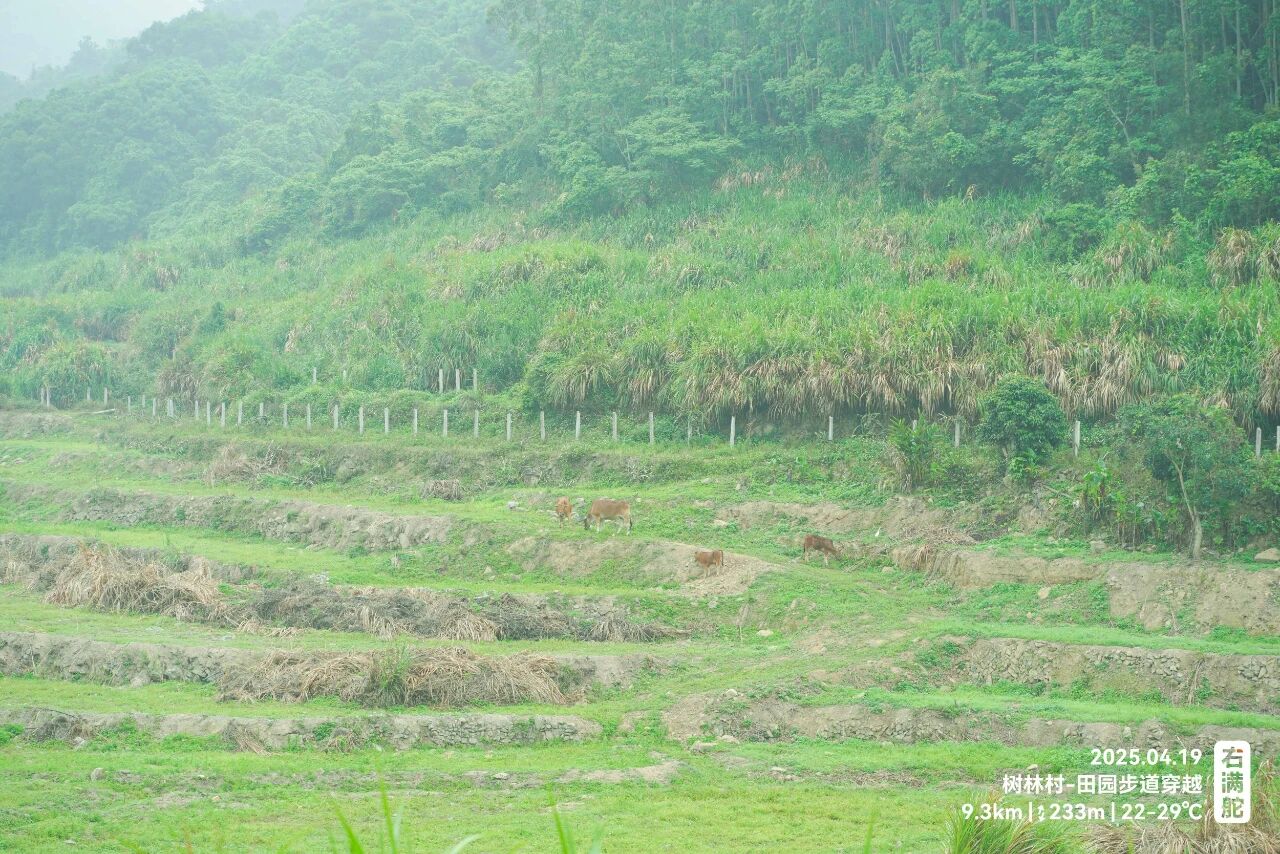 右满舵百线共享 | NO.79:树林村-宏路田园步道穿越 配图15
