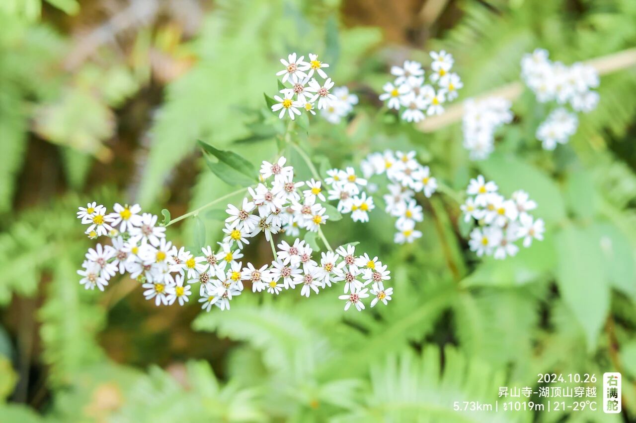 右满舵百线共享 | NO.85:湖顶山圈越 配图32