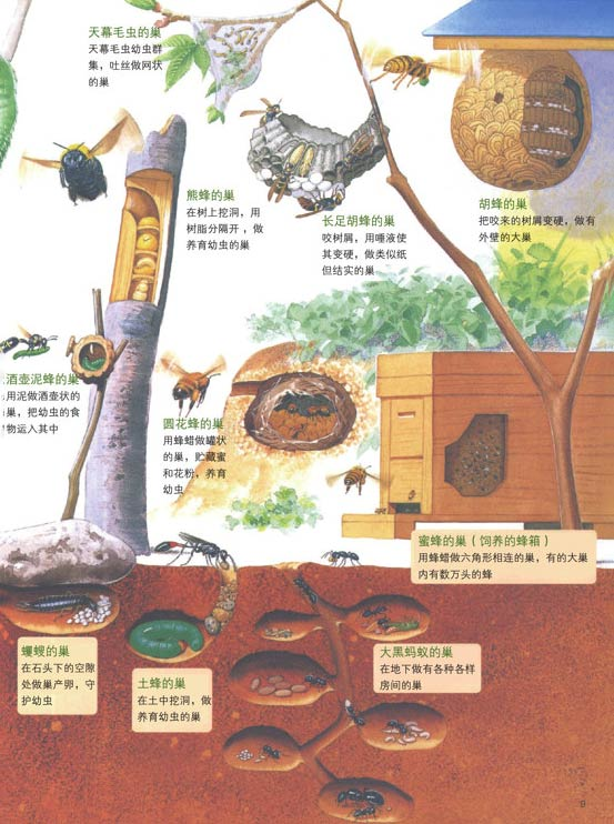 安全无上限,一直在路上 | 右满舵2025年秋季徒步成长课发布 配图103
