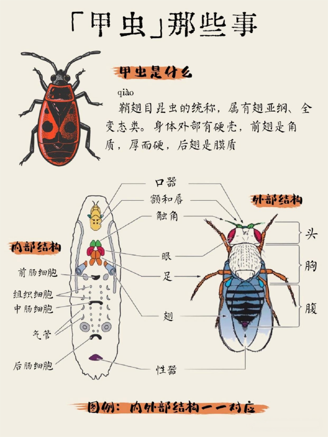 安全无上限,一直在路上 | 右满舵2025年秋季徒步成长课发布 配图114