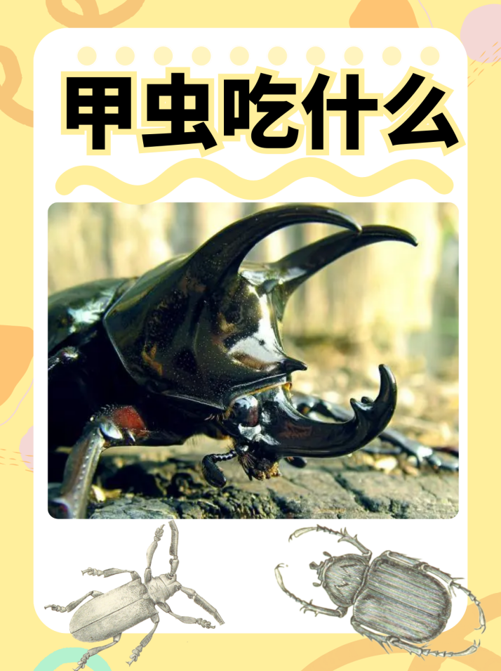 安全无上限,一直在路上 | 右满舵2025年秋季徒步成长课发布 配图120