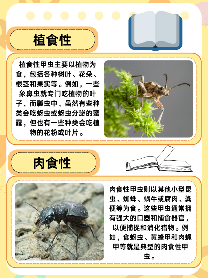 安全无上限,一直在路上 | 右满舵2025年秋季徒步成长课发布 配图121