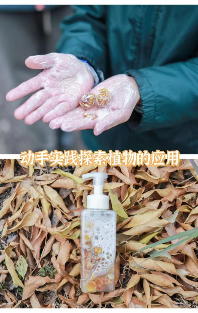 安全无上限,一直在路上 | 右满舵2025年秋季徒步成长课发布 配图137
