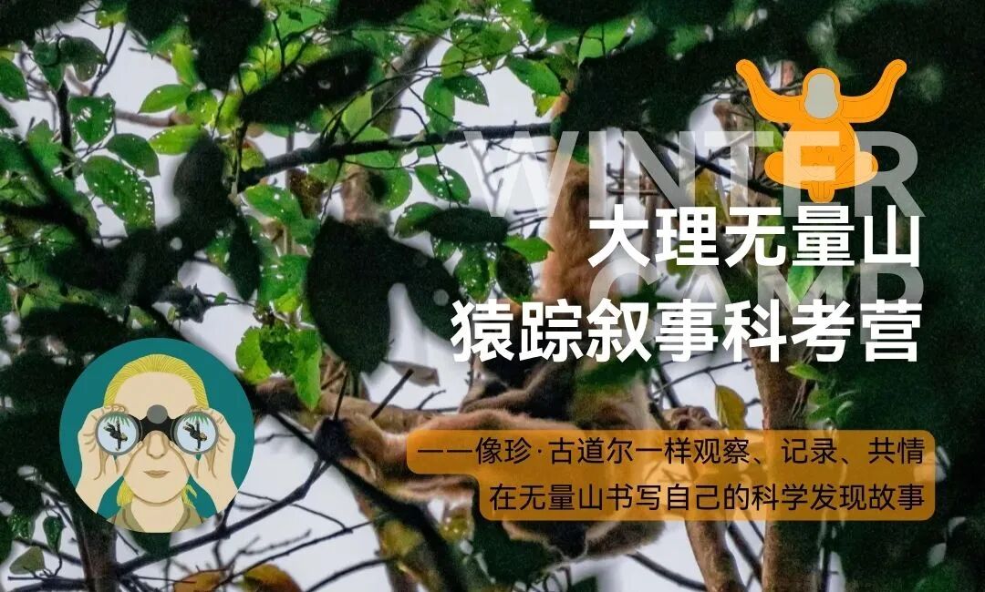 大理无量山猿踪叙事科考营｜右满舵2026年科考冬令营 配图20
