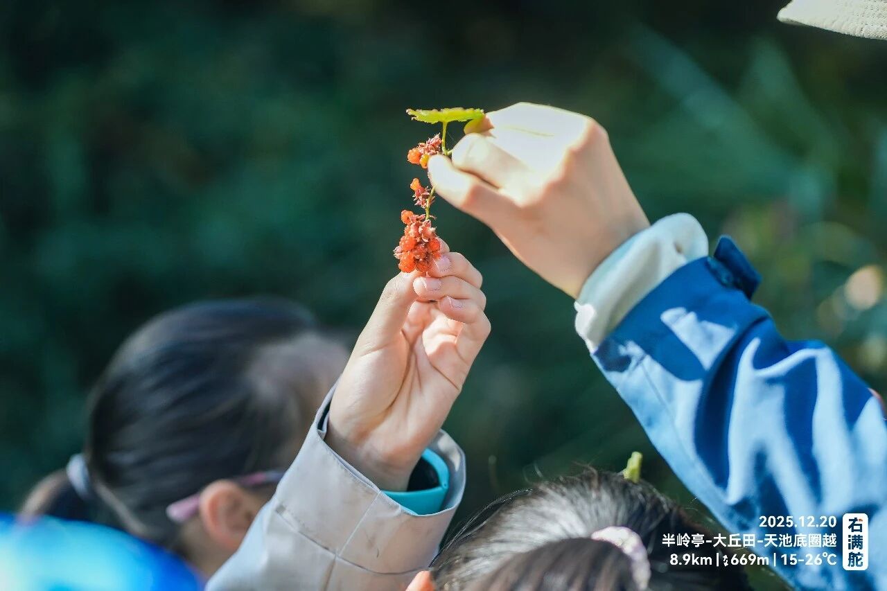 此时此地,步量成长 | 右满舵2026年春季徒步成长课发布 配图99