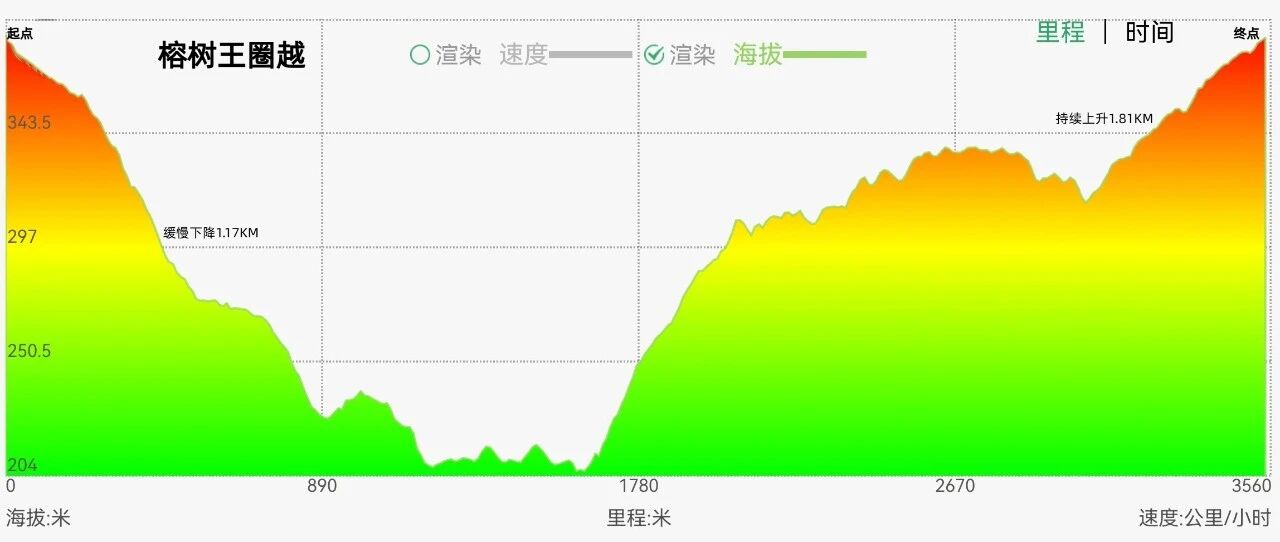 右满舵百线共享 | NO.99:榕树王圈越 配图3