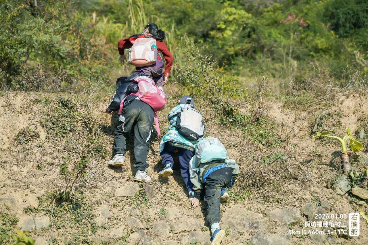 右满舵百线共享 | NO.99:榕树王圈越 配图7