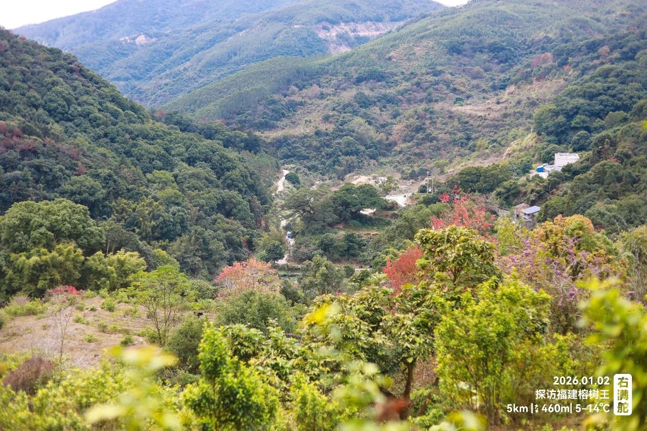 右满舵百线共享 | NO.99:榕树王圈越 配图11