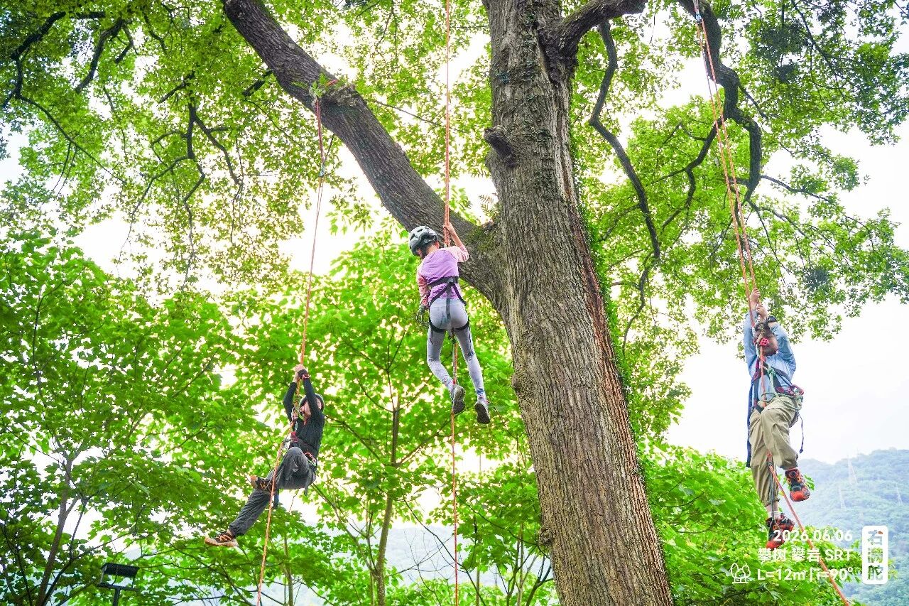为黑马佛得角的逆袭欢呼，也要警醒单一评价对人才的扼杀 | 右满舵2026年秋季徒步成长课发布 配图28