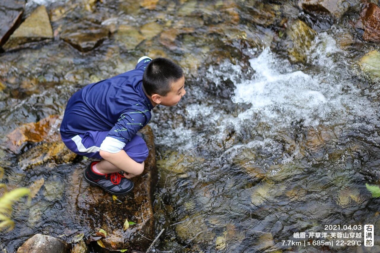 一座山的“西兰花”,通向菲尔茨奖 | 大自然里的数学,和看见它的孩子们 配图2