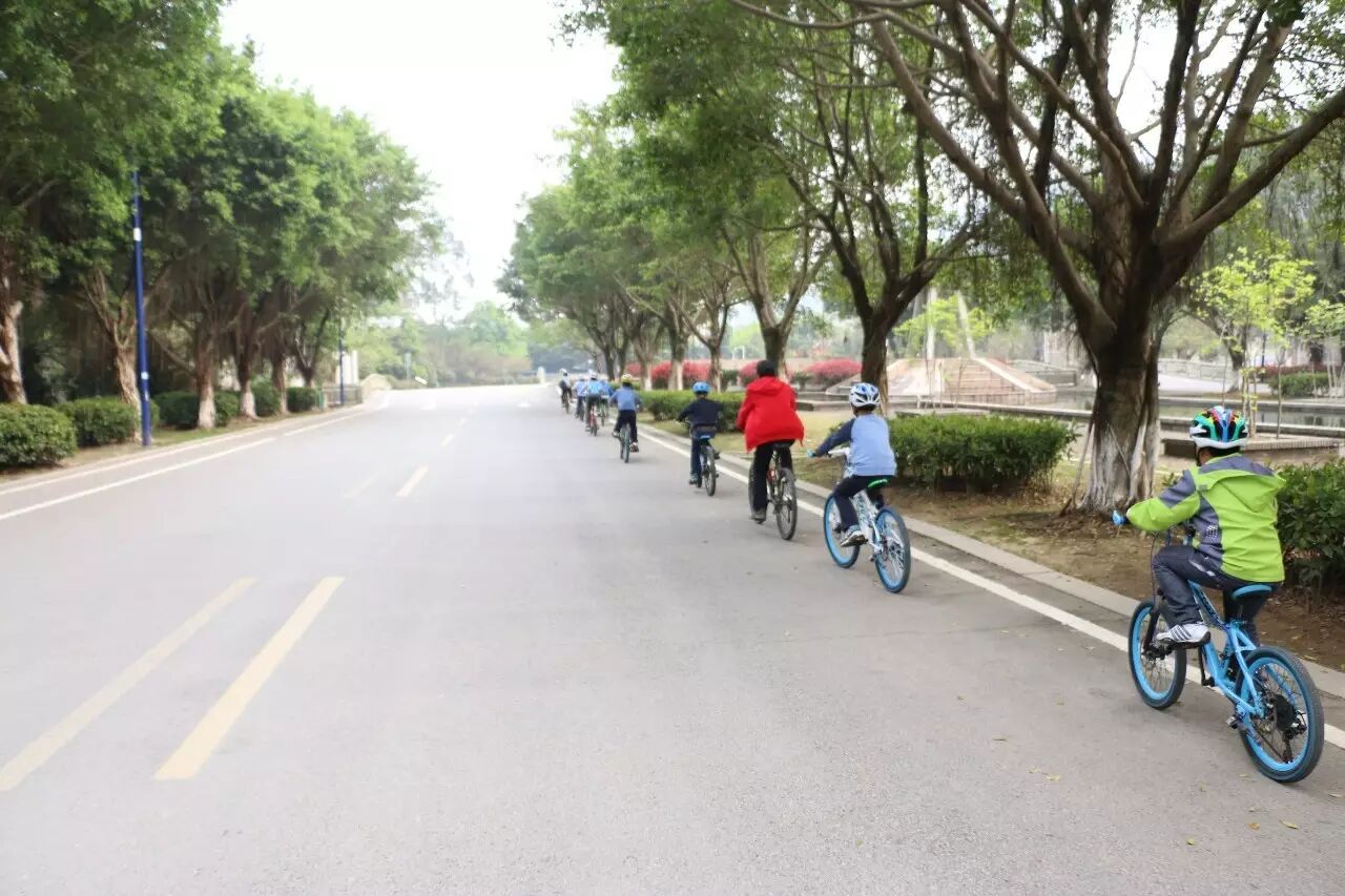 回顾帖|寻找自然的踪迹 配图5
