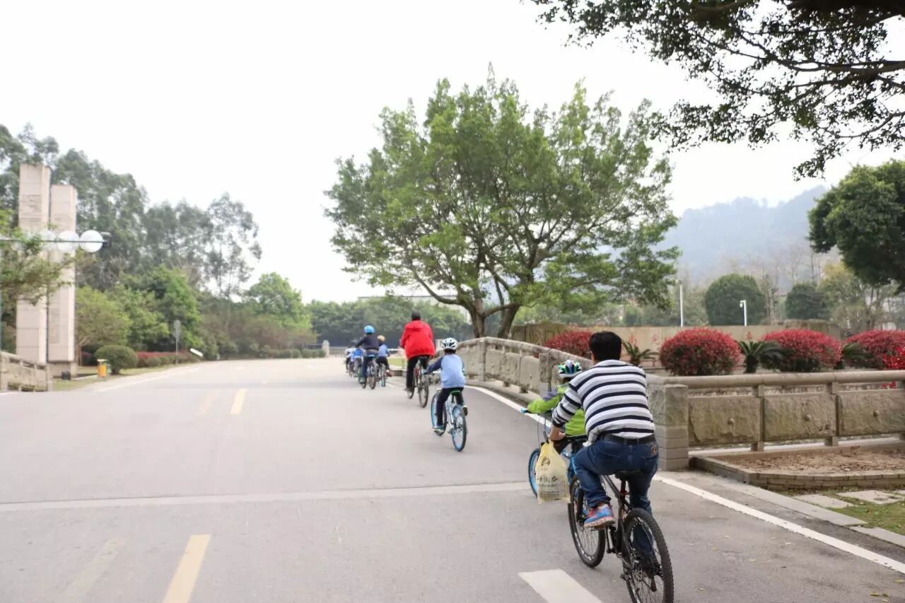回顾帖|寻找自然的踪迹 配图10