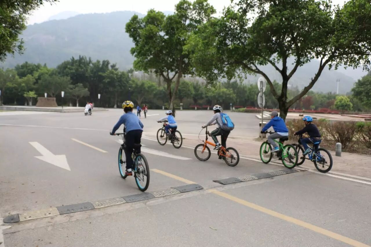 回顾帖|寻找自然的踪迹 配图11